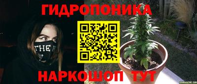 прущие крисы Тулун