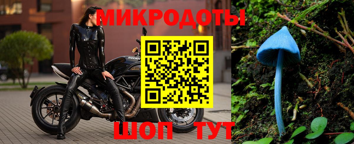 Псилоцибиновые грибы мицелий Борзя