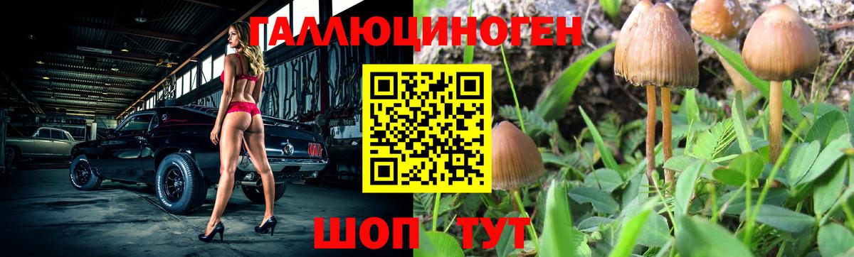 Борзя  Галлюциногенные грибы Cubensis  наркошоп  Вход с VPN 